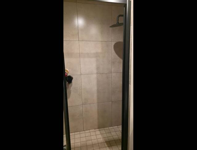 1 BEDROOM PROPERTY TO RENT IN SANDOWN